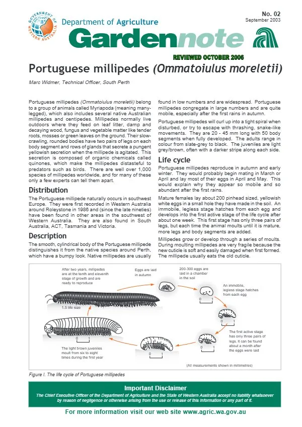 First page of Millipede Fact Sheet