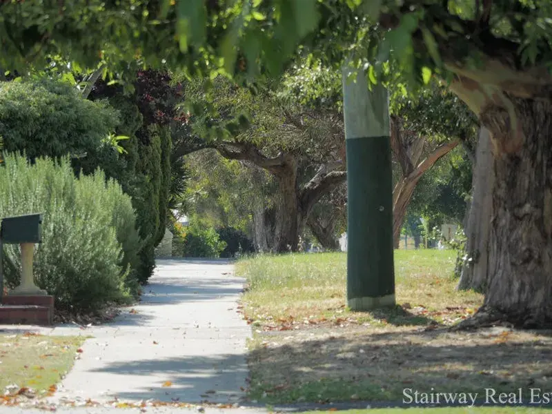 Midgley Street — Best Block in Lathlain!