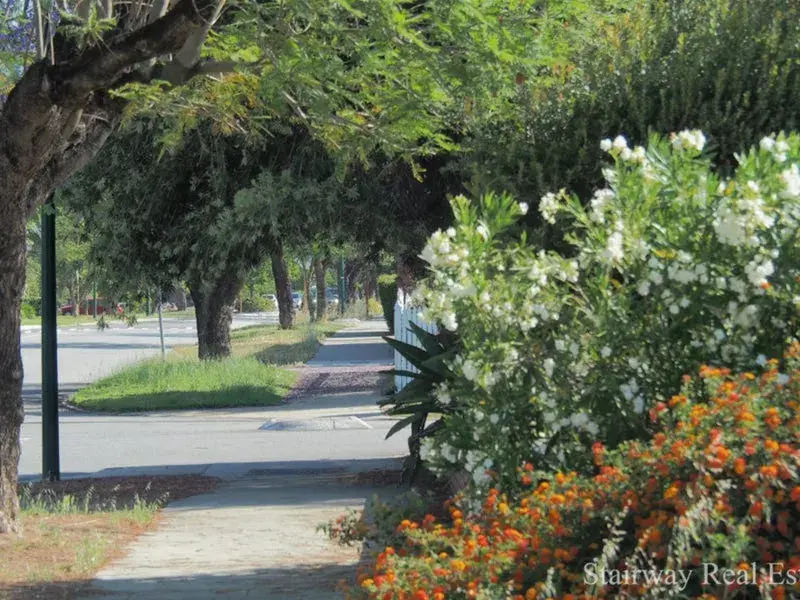 Midgley Street — Best Block in Lathlain!